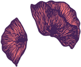 home_img006.png